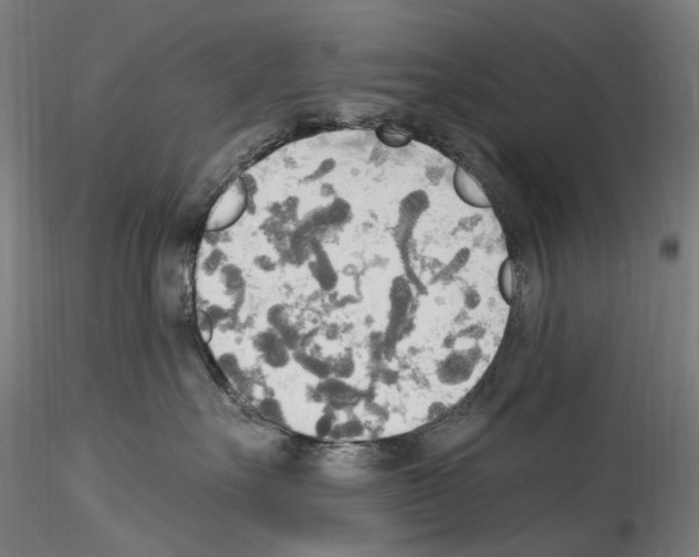 X0000114550527200911301227