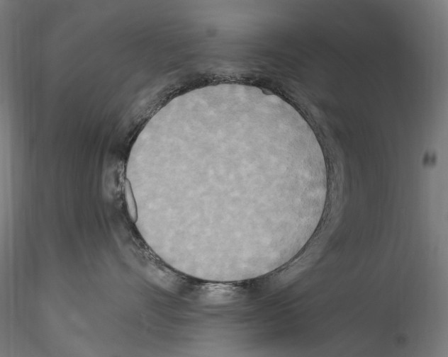X0000114550528200911301227