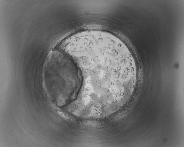X0000114550529200911301226