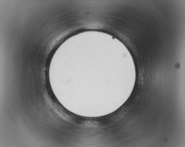 X0000114550535200911301226