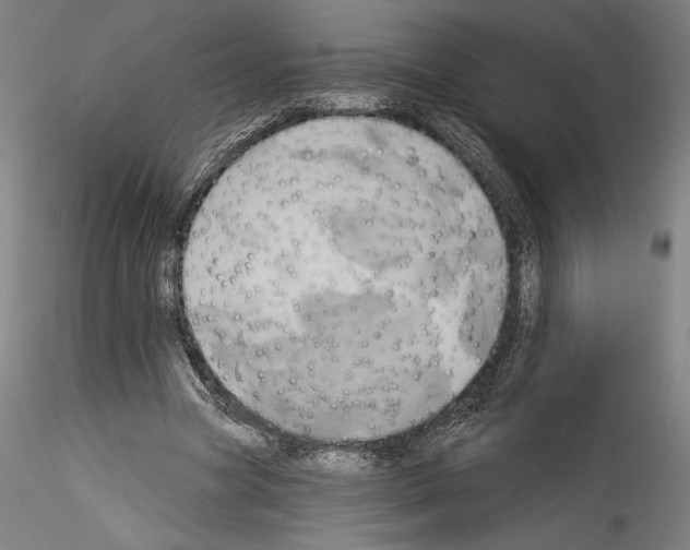 X0000114550537200911301226