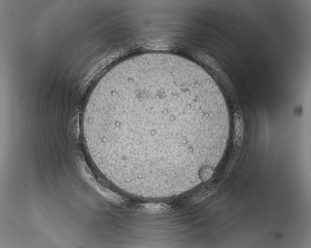 X0000114550541200911301227