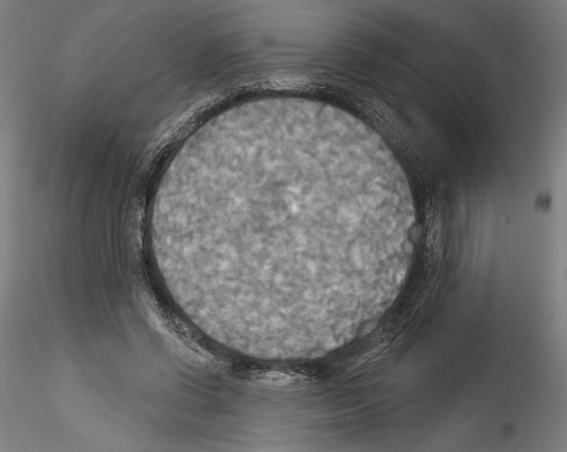 X0000114550542200911301227