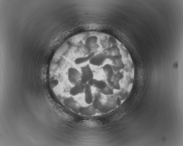 X0000114550545200911301227