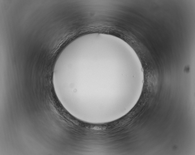 X0000114550546200911301227