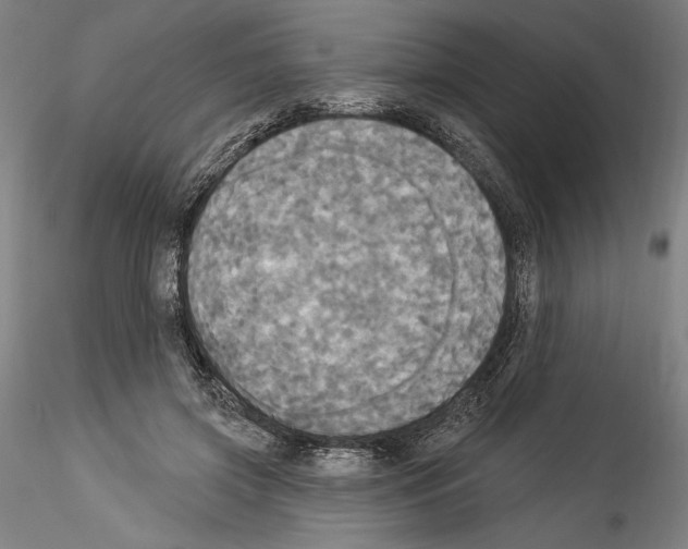X0000114550549200911301227