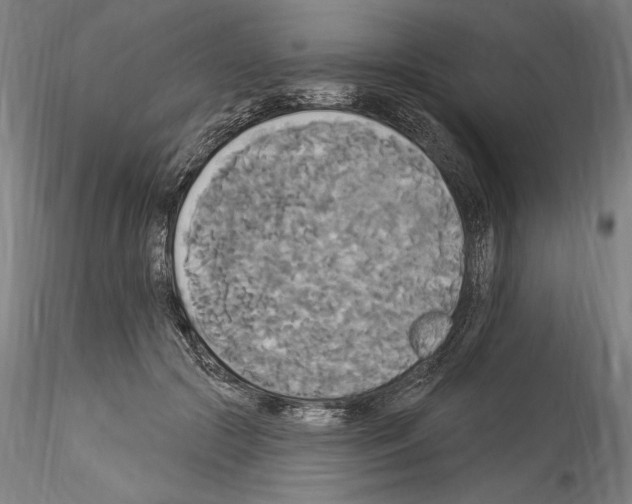 X0000114550553200911301227