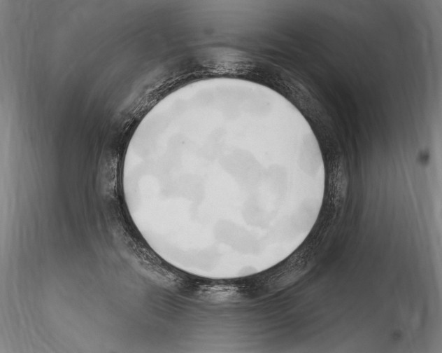 X0000114550554200911301227