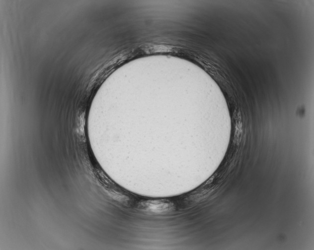 X0000114550555200911301227