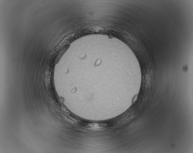 X0000114550558200911301227