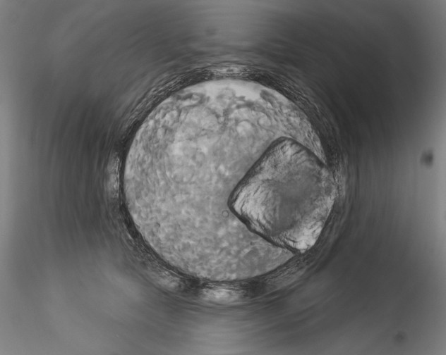 X0000114550561200911301227