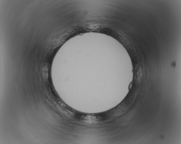 X0000114550562200911301227