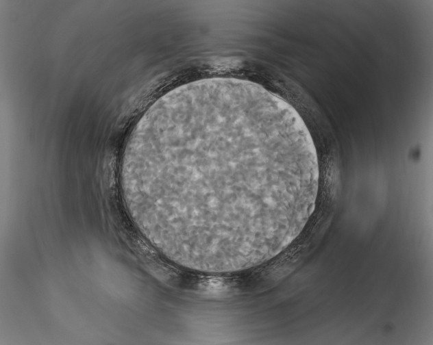 X0000114550565200911301227