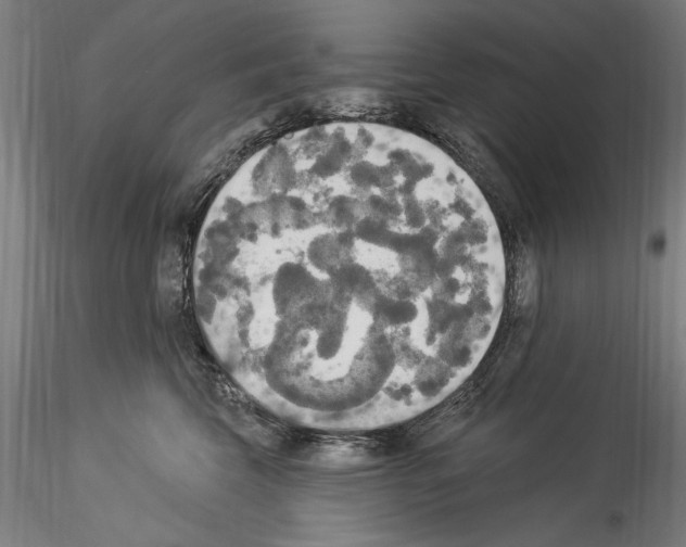 X0000114550569200911301227