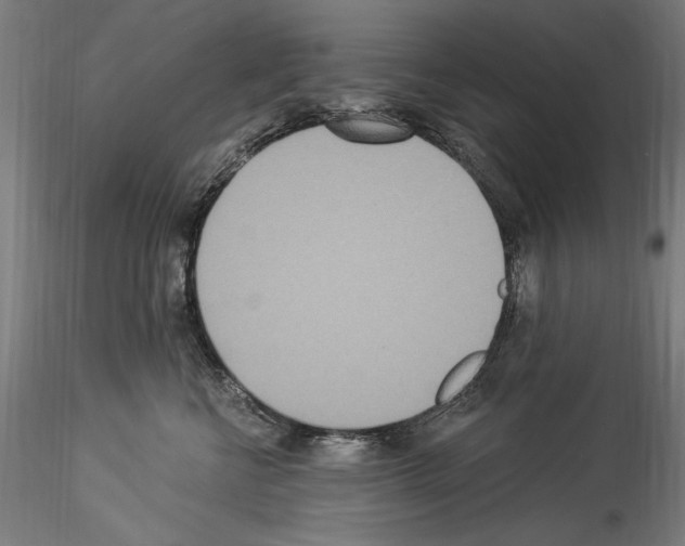 X0000114550570200911301227