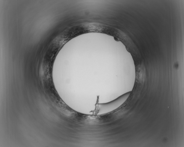 X0000114550573200911301227