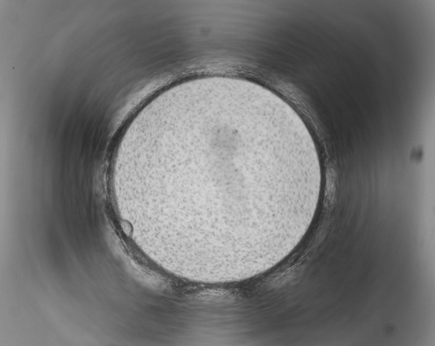 X0000114550578200911301226