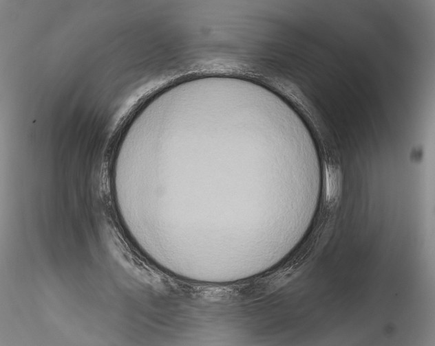 X0000114550579200911301226