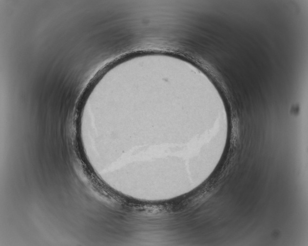 X0000114550580200911301226