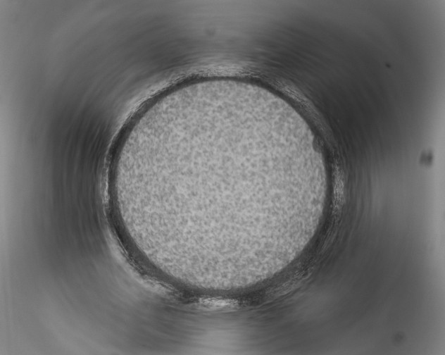 X0000114550582200911301226