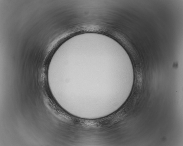 X0000114550583200911301226