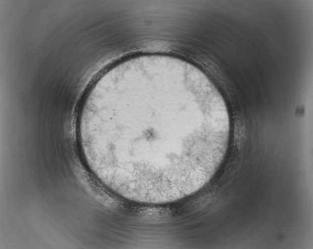X0000114550584200911301226