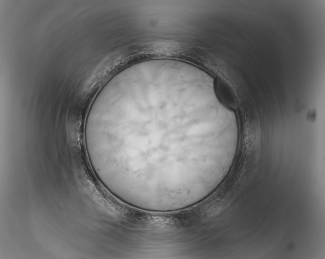 X0000114550585200911301226