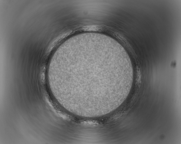 X0000114550586200911301226