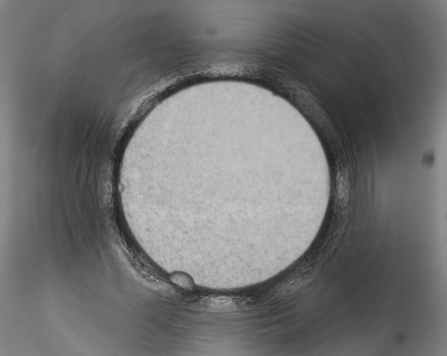 X0000114550588200911301226