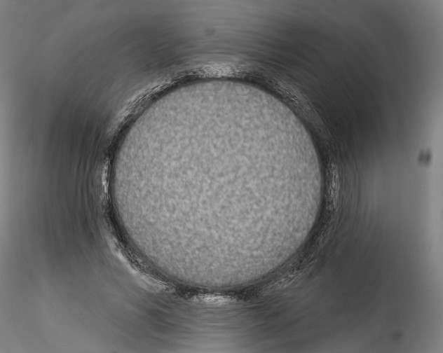 X0000114550590200911301226