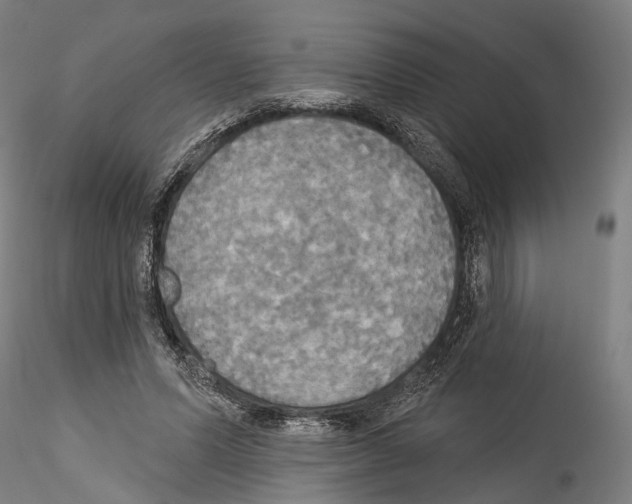 X0000114550591200911301226
