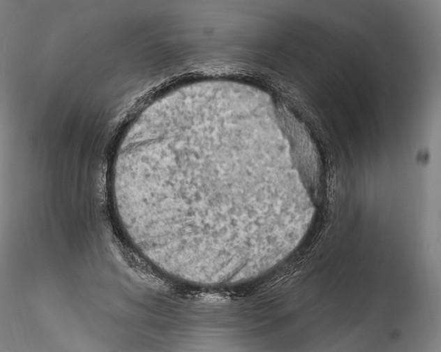 X0000114550592200911301226