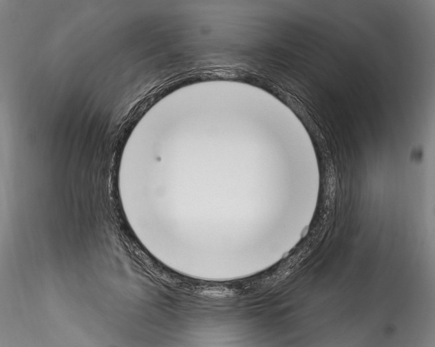 X0000114550595200911301226