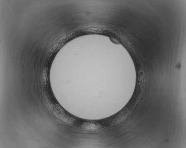 X0000114550597200911301226