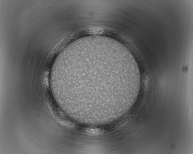 X0000114550598200911301226