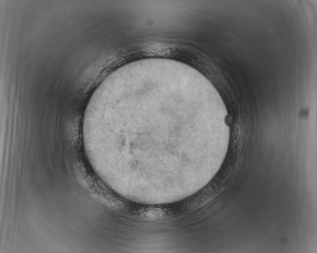 X0000114550600200911301226