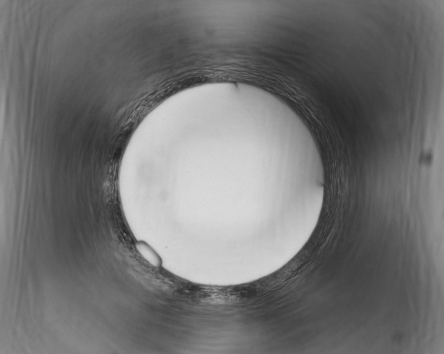 X0000114550601200911301226