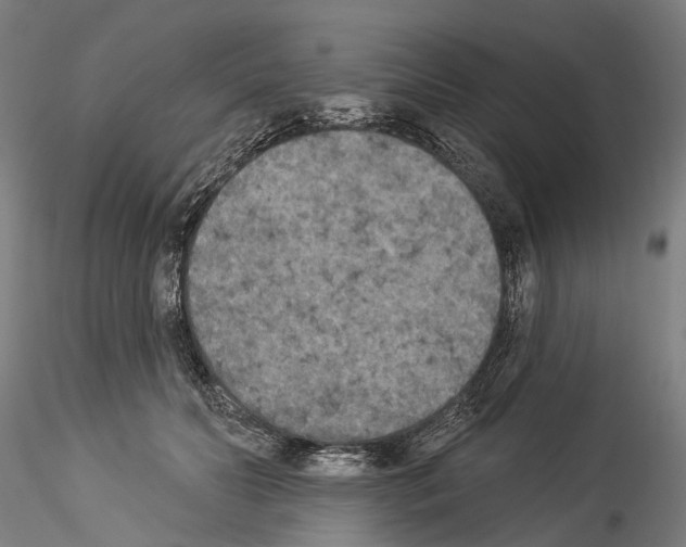 X0000114550606200911301226