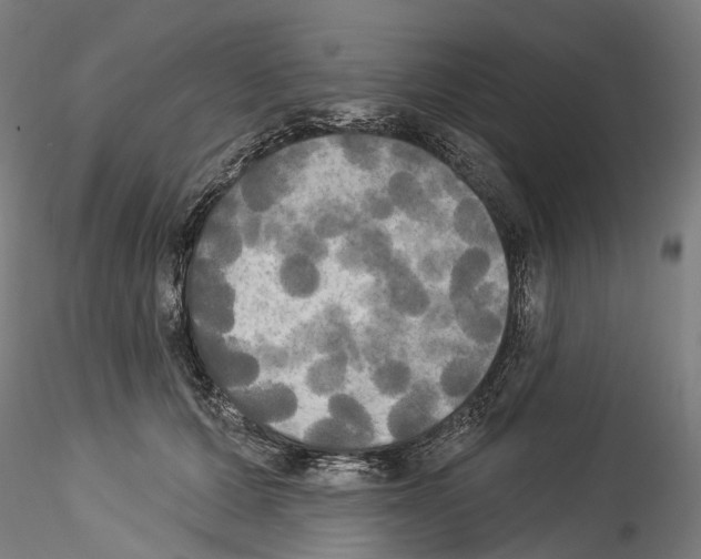 X0000114550607200911301226