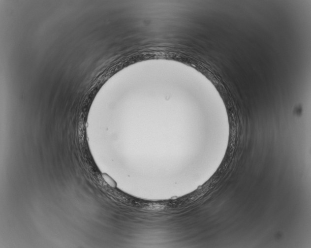 X0000114550609200911301226