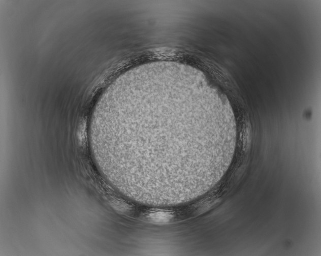 X0000114550610200911301226