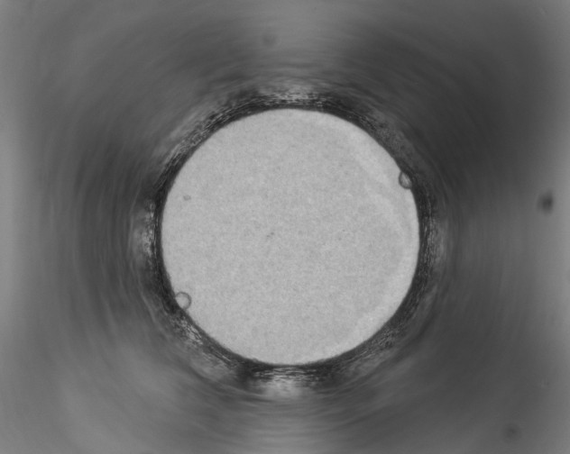 X0000114550612200911301226