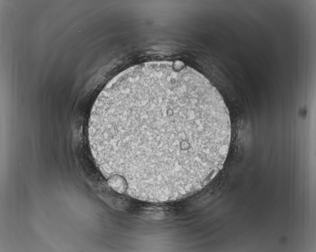 X0000114550615200911301226