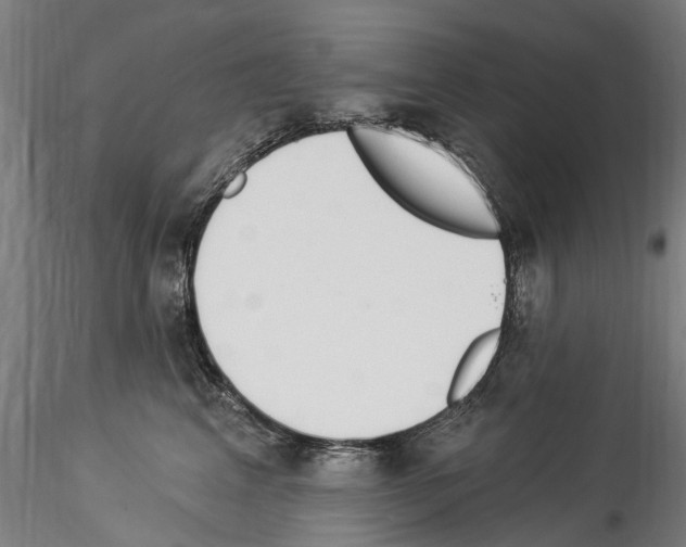 X0000114550617200911301226