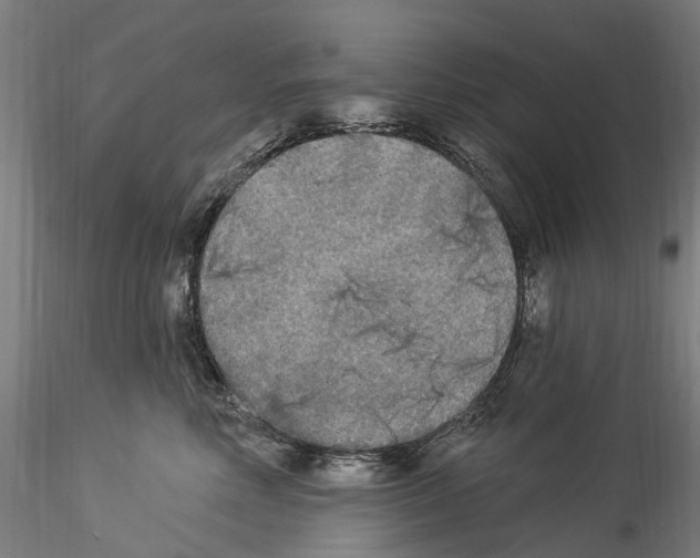 X0000114550618200911301226