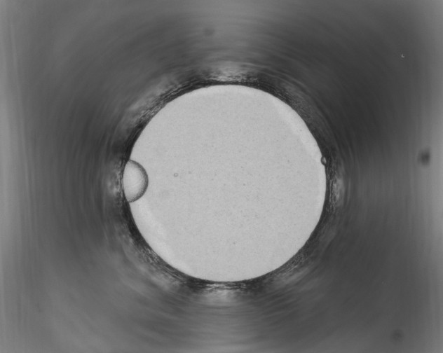 X0000114550620200911301226