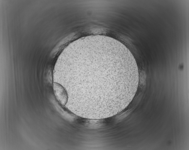 X0000114550622200911301226