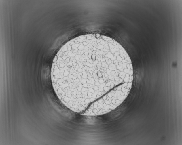 X0000114550623200911301226