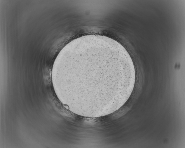 X0000114550624200911301226