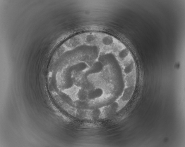 X0000114550625200911301225
